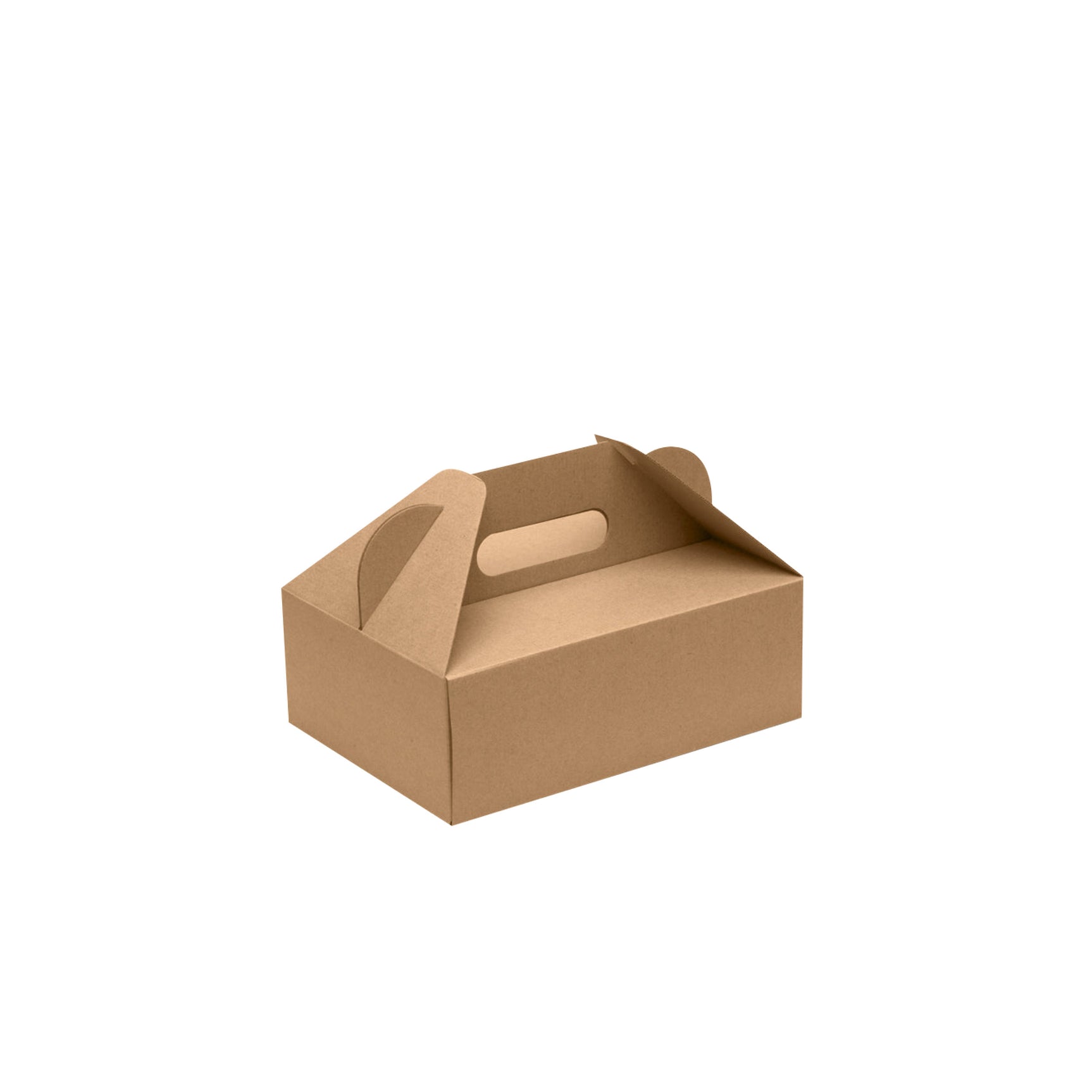 240x170x85mm Kraft Carry Box