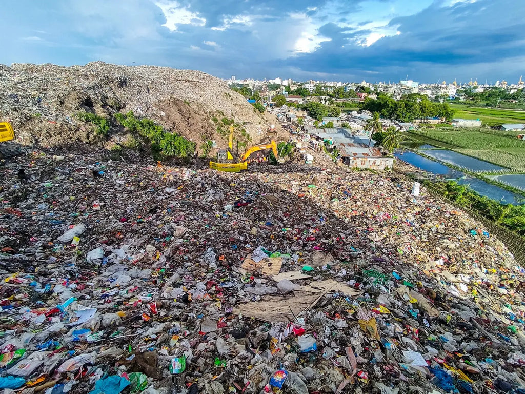 How Single Use Packaging is destroying our planet and how to counter it.