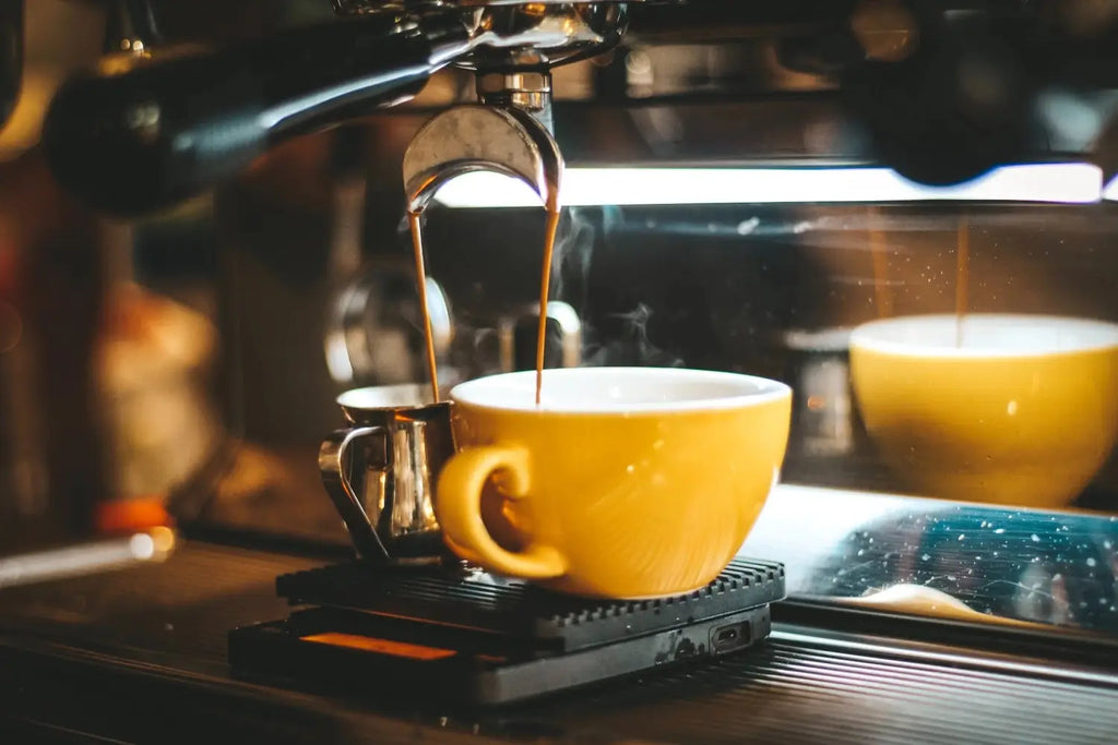 From Bean to Brew: Discover the incredible journey of coffee