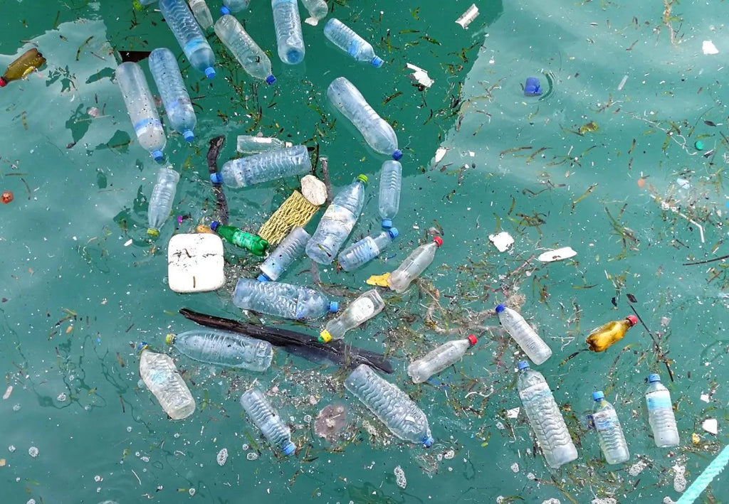 How Single Use Packaging is destroying our planet and how to counter it.